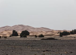 Von der einen Wüste in die nächste | Erg Chegaga